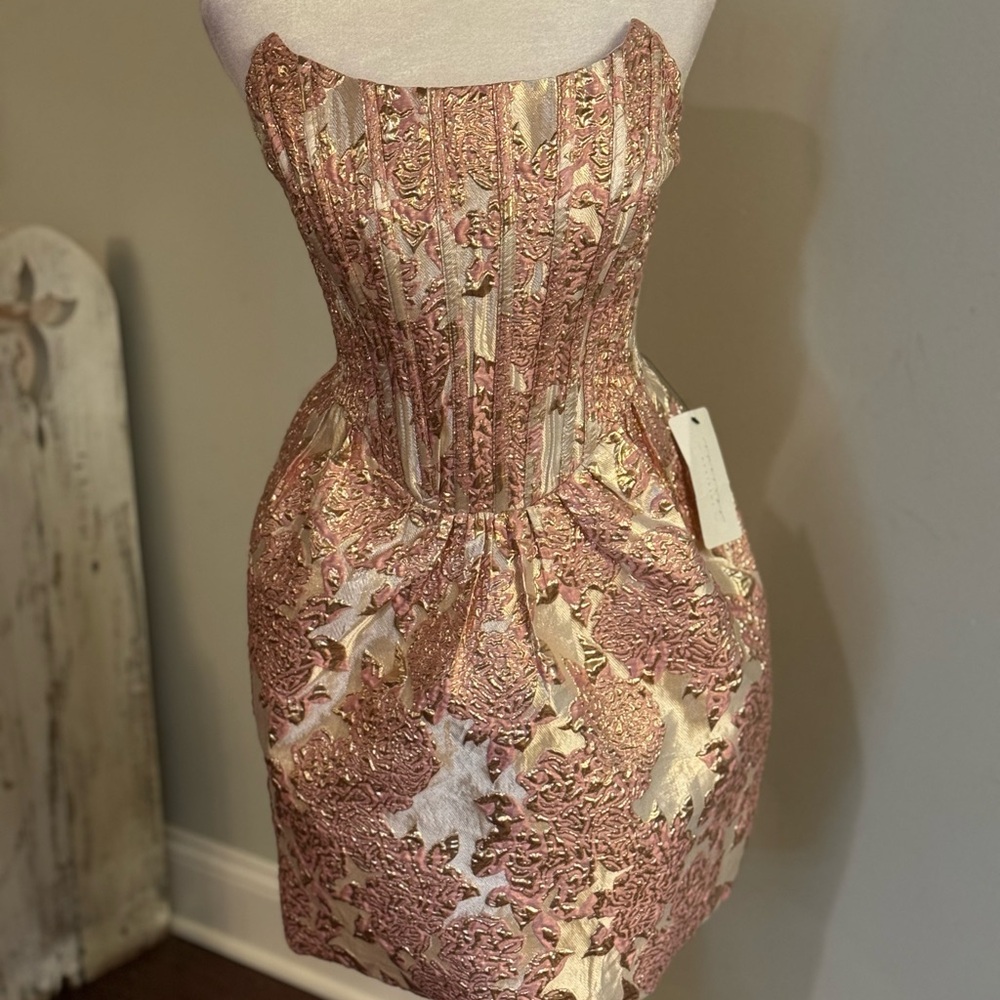 American Threads Strapless Dress in Pink and Gold